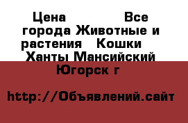 Zolton › Цена ­ 30 000 - Все города Животные и растения » Кошки   . Ханты-Мансийский,Югорск г.